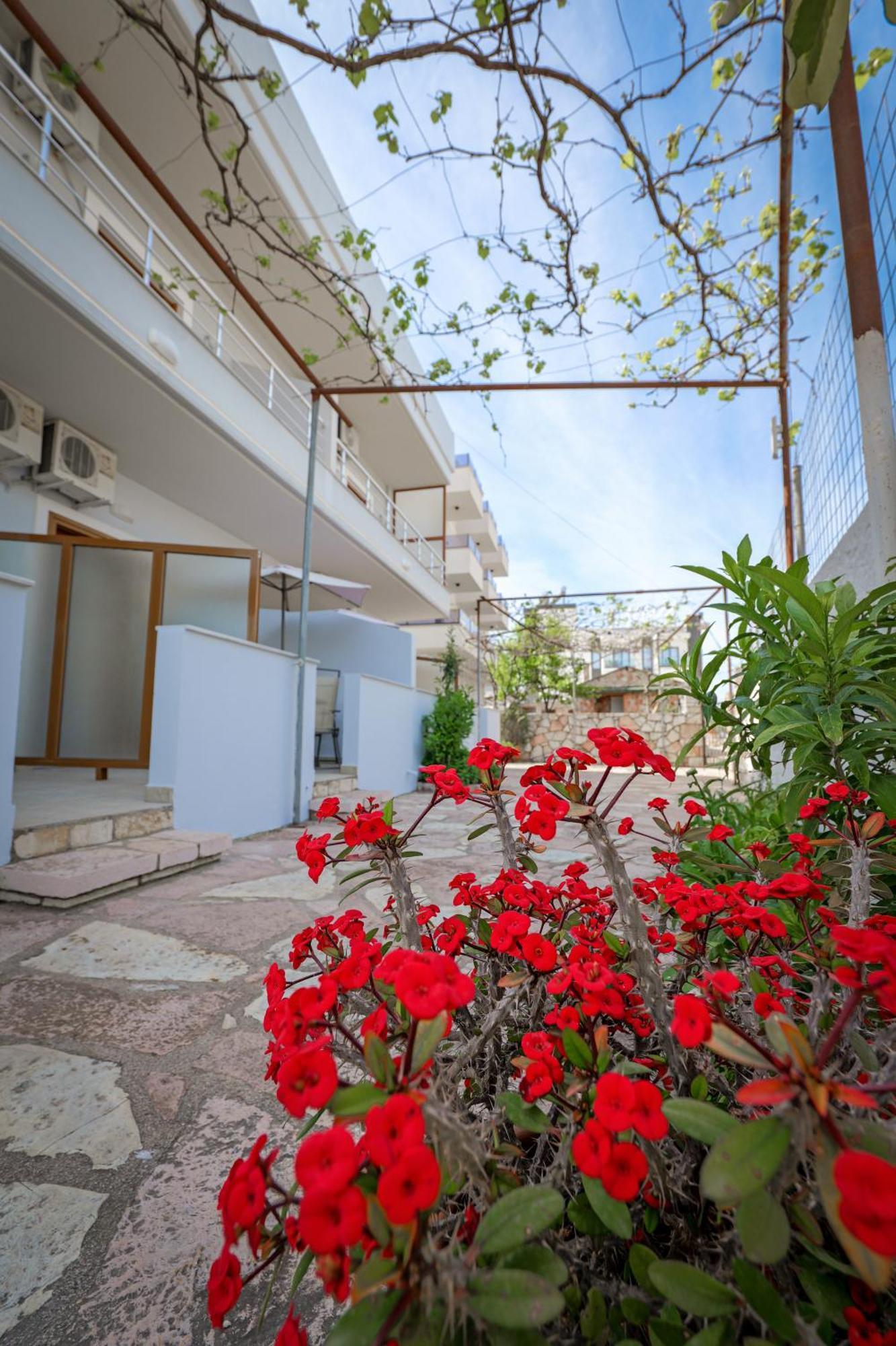 Appartement Moonlight Ksamil